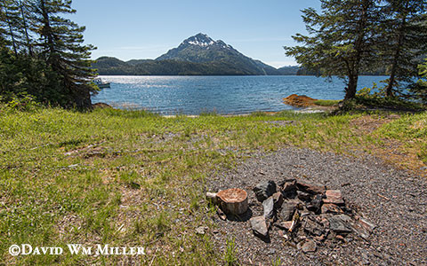 Jackpot Creek Campsite 
