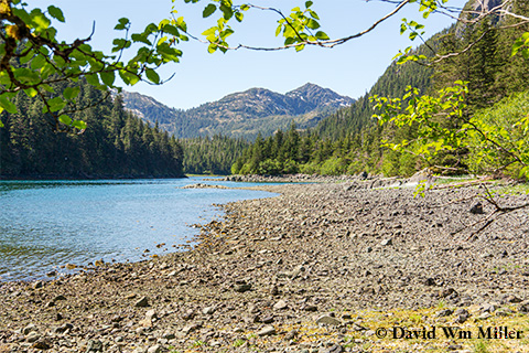 West Arm, Bay of Isles.